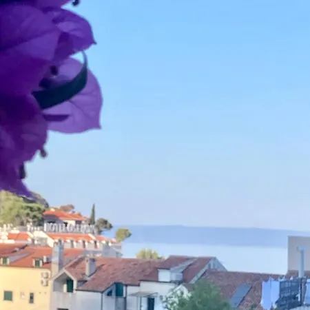 Διαμέρισμα Luxury Marhella & Jakov *