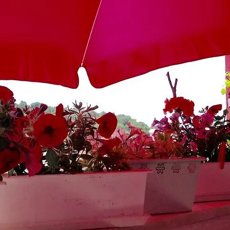 Luxury Marhella & Jakov