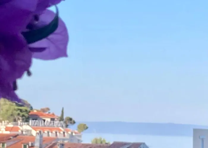 Daire Luxury Marhella & Jakov *