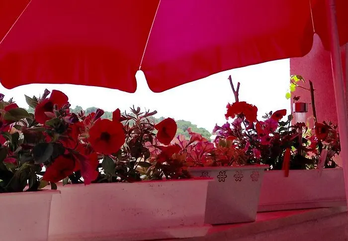 Luxury Marhella & Jakov