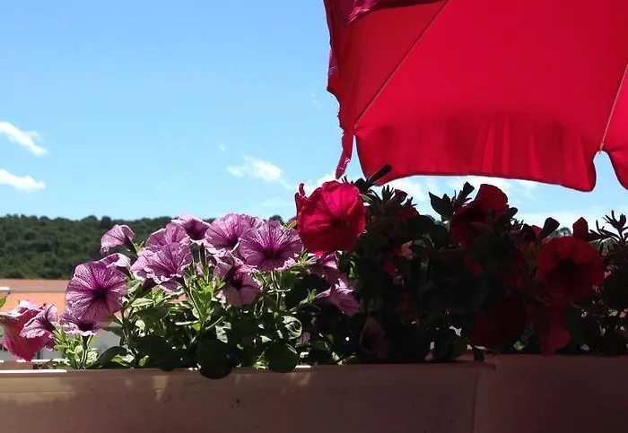 Daire Luxury Marhella & Jakov *