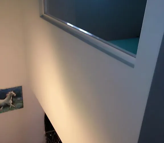 Luxury Marhella & Jakov