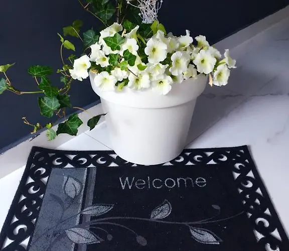 Luxury Marhella & Jakov