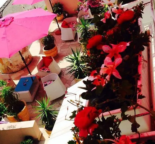 Luxury Marhella & Jakov Makarska